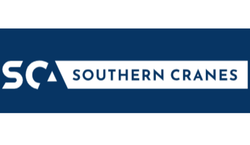Southern Cranes.